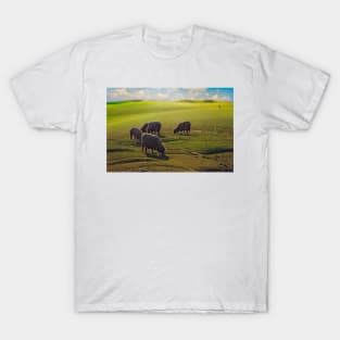 flock T-Shirt